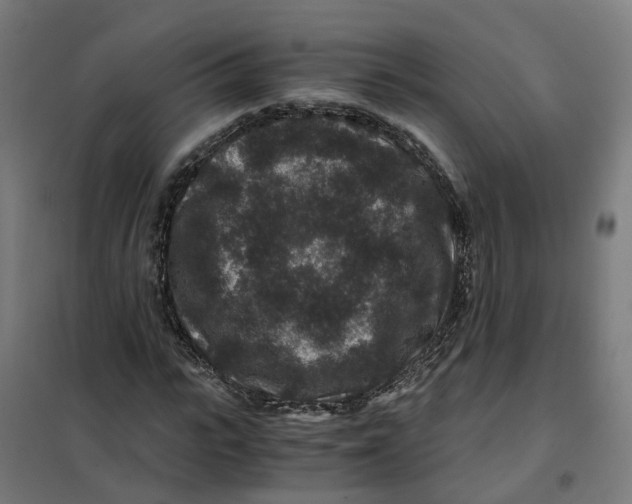 X0000101710919200808071219