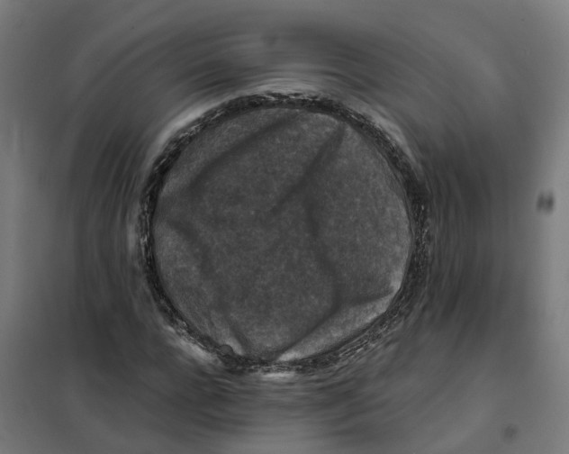 X0000101710920200808071219