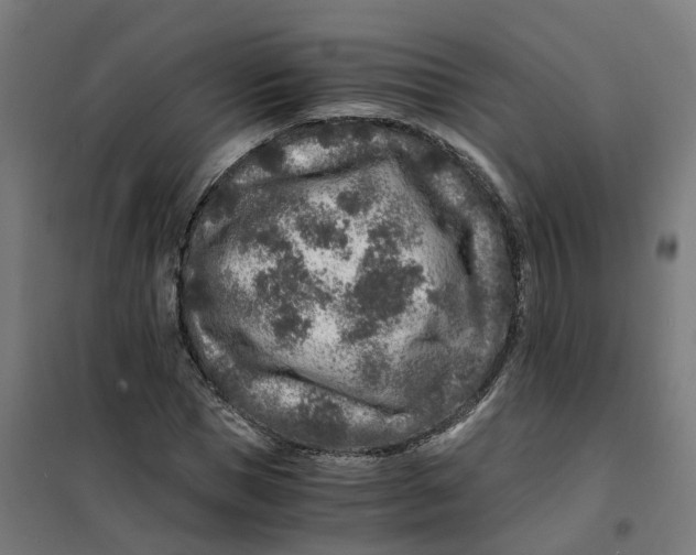 X0000101710921200808071219