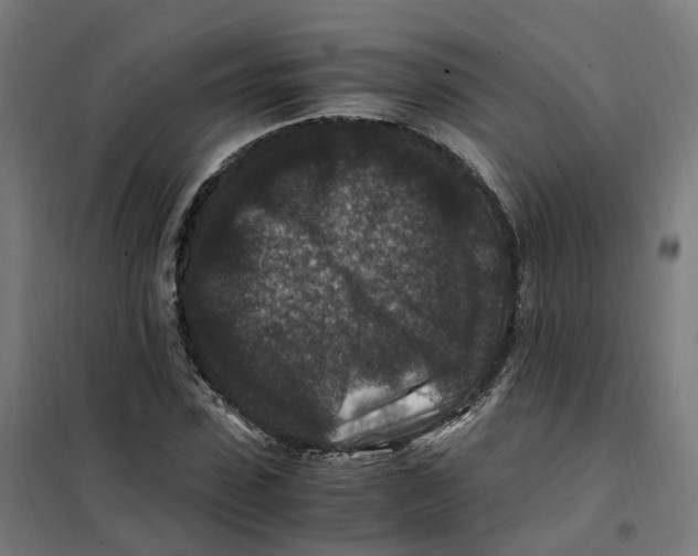 X0000101710923200808071219