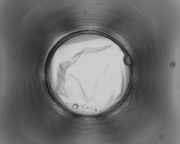 X0000101710924200808071219