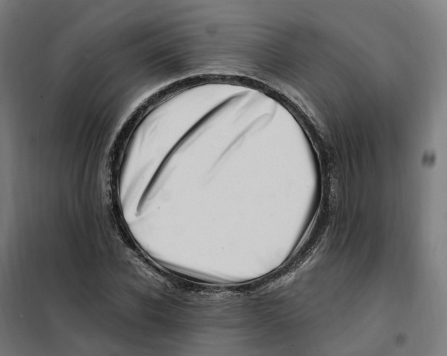 X0000101710926200808071219