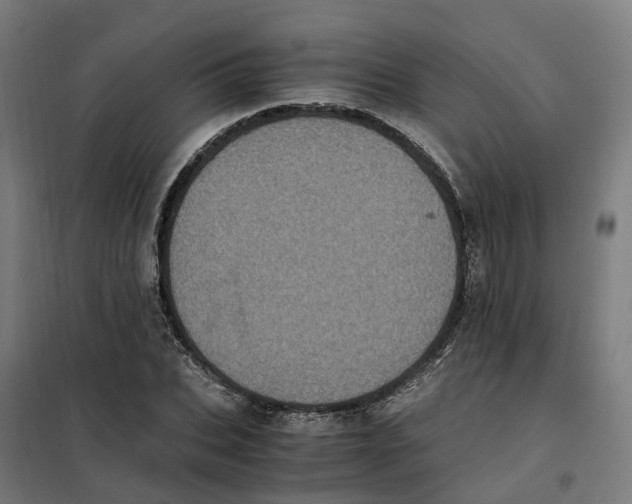 X0000101710927200808071219