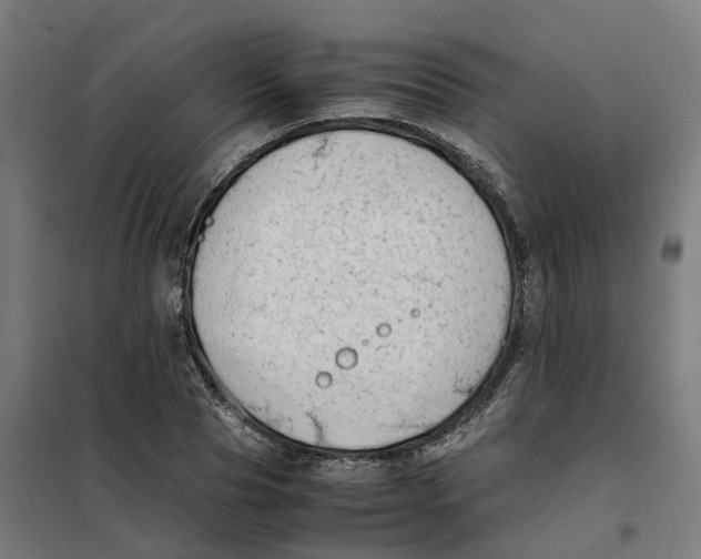 X0000101710929200808071219