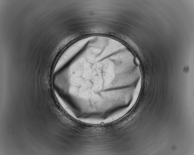 X0000101710930200808071219