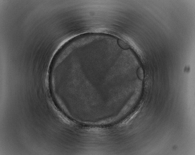 X0000101710932200808071219