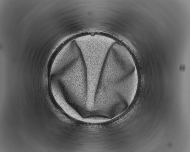 X0000101710934200808071219