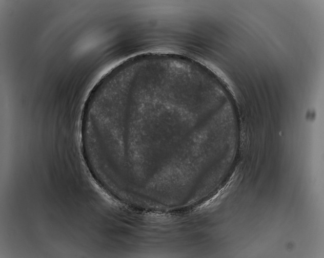 X0000101710935200808071219