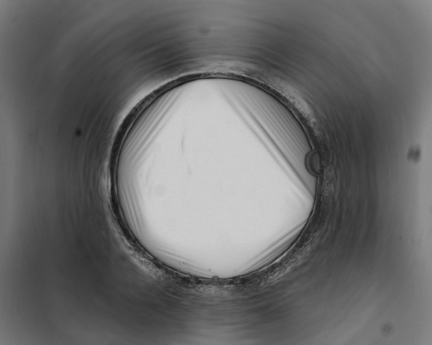 X0000101710936200808071219