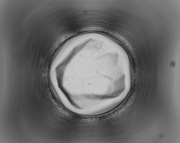 X0000101710937200808071219