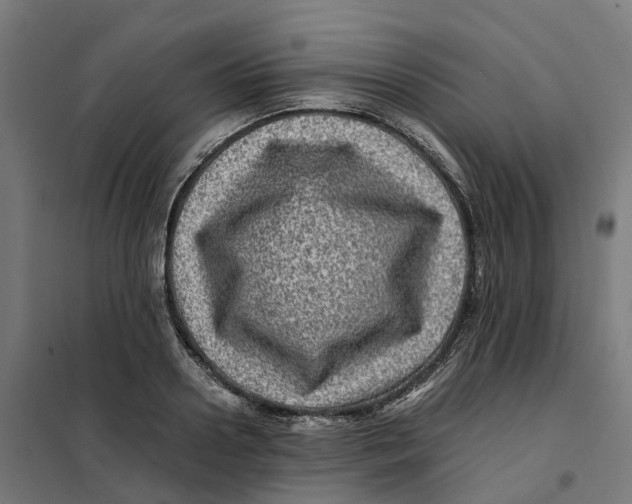 X0000101710938200808071219