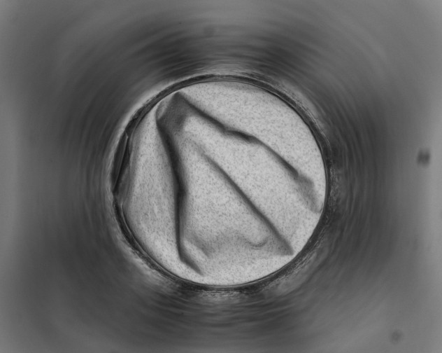 X0000101710939200808071219