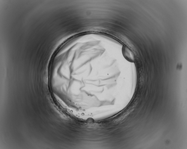 X0000101710940200808071219