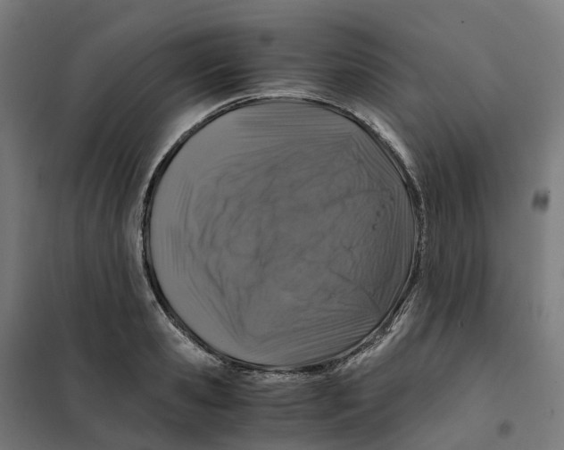 X0000101710941200808071219