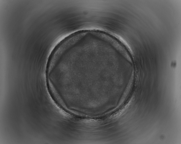 X0000101710943200808071219