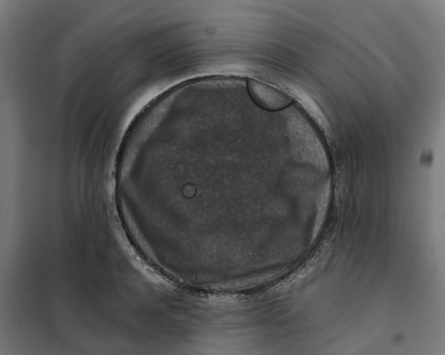 X0000101710944200808071220