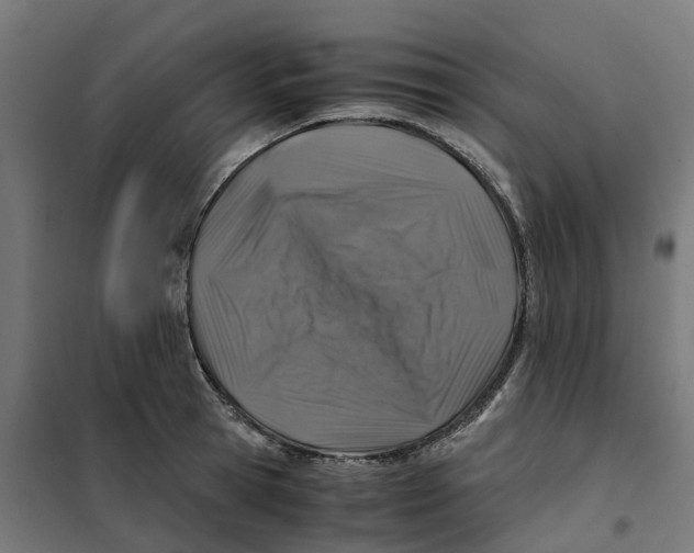 X0000101710945200808071220
