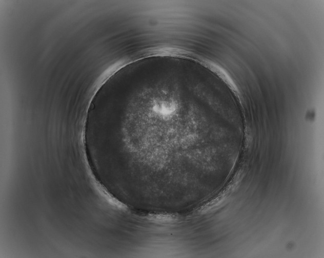 X0000101710946200808071220