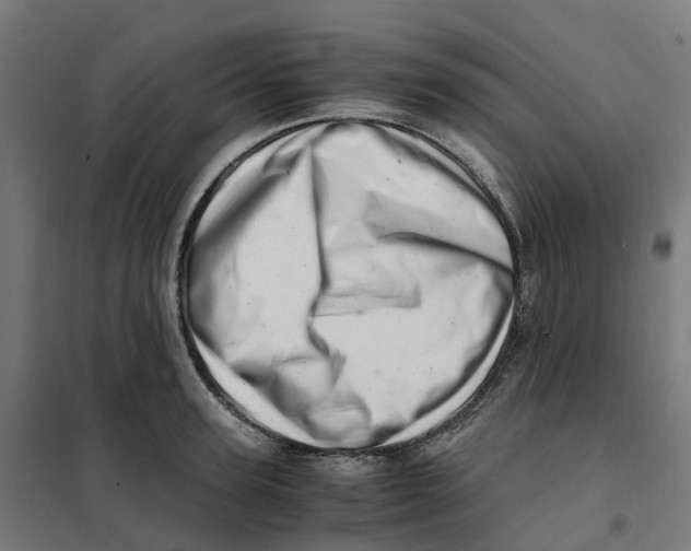 X0000101710947200808071220