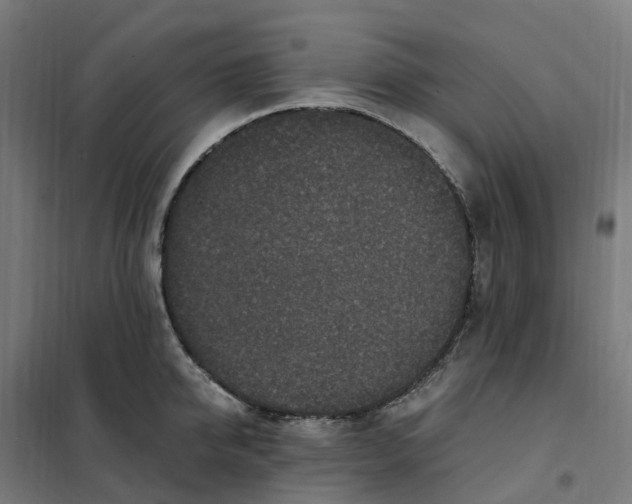 X0000101710950200808071220
