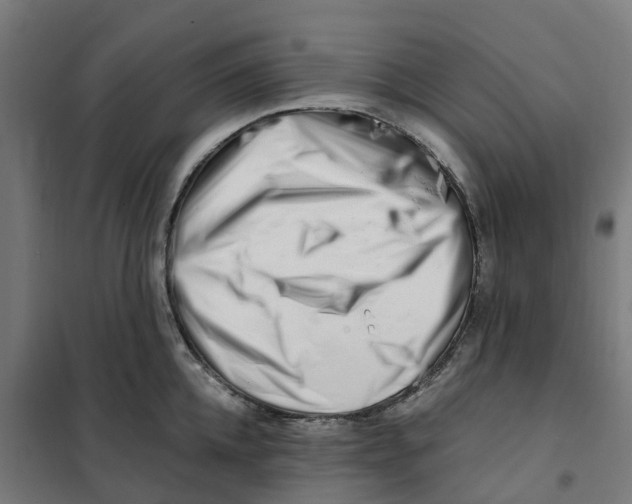 X0000101710952200808071220