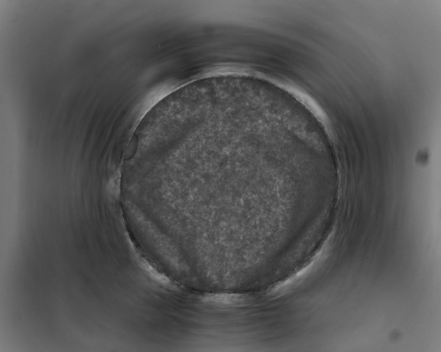 X0000101710953200808071220