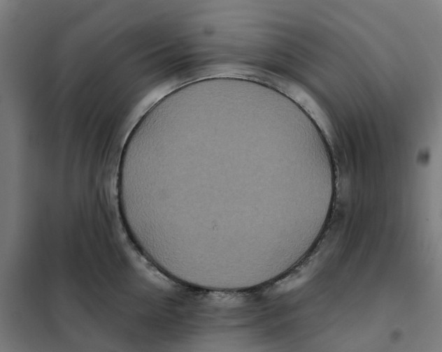 X0000101710954200808071220