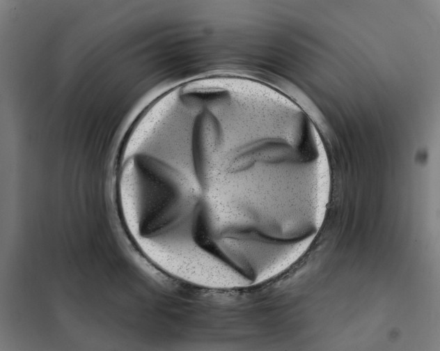 X0000101710955200808071220