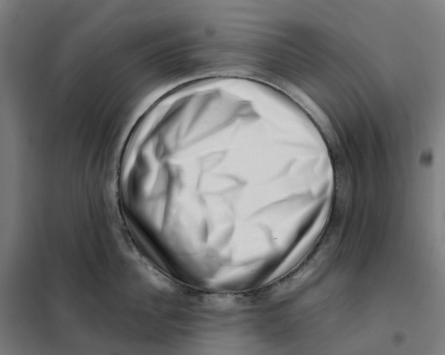 X0000101710956200808071220