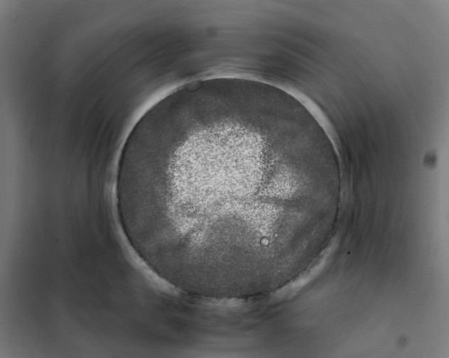 X0000101710957200808071220