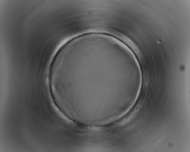 X0000101710958200808071220
