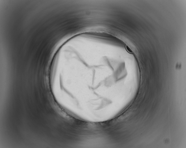 X0000101710960200808071220