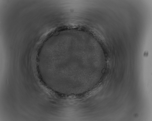 X0000101710961200808071219