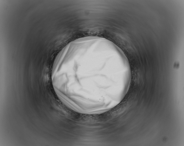 X0000101710962200808071219