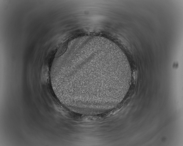 X0000101710963200808071219