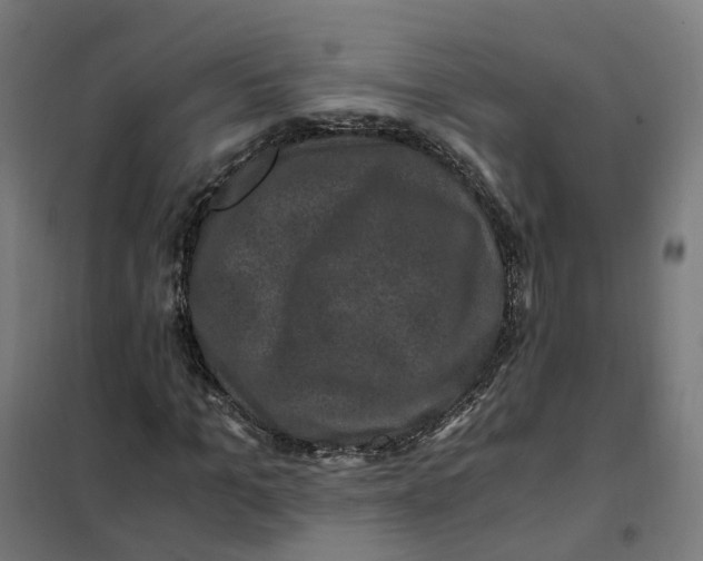 X0000101710965200808071219