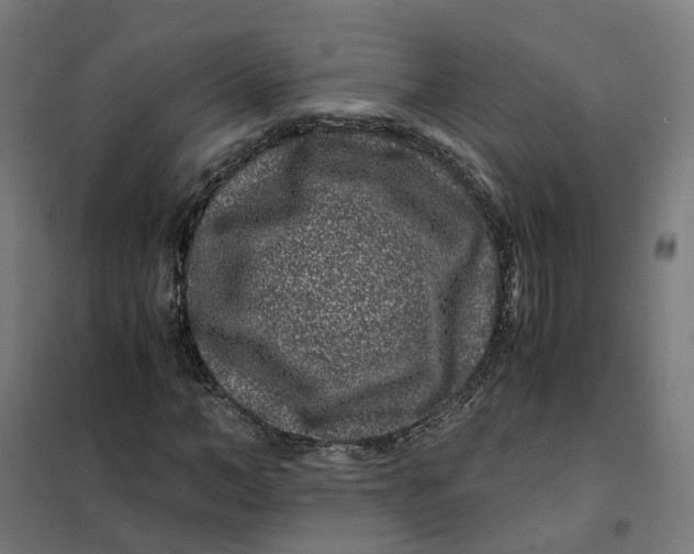 X0000101710966200808071219