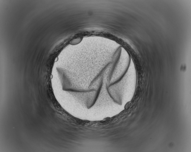 X0000101710967200808071219