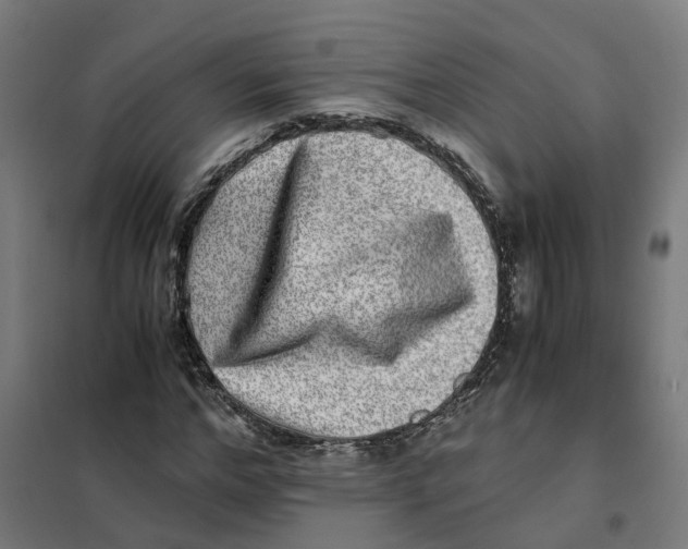 X0000101710968200808071219