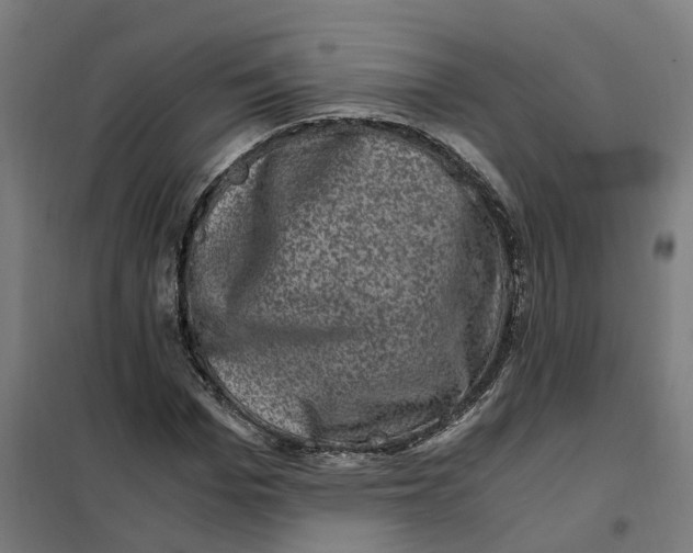 X0000101710969200808071219