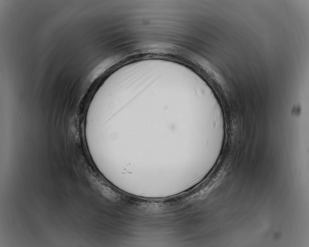 X0000101710970200808071219