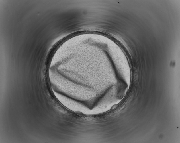 X0000101710971200808071219
