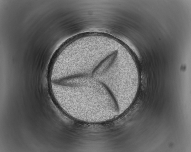 X0000101710972200808071219