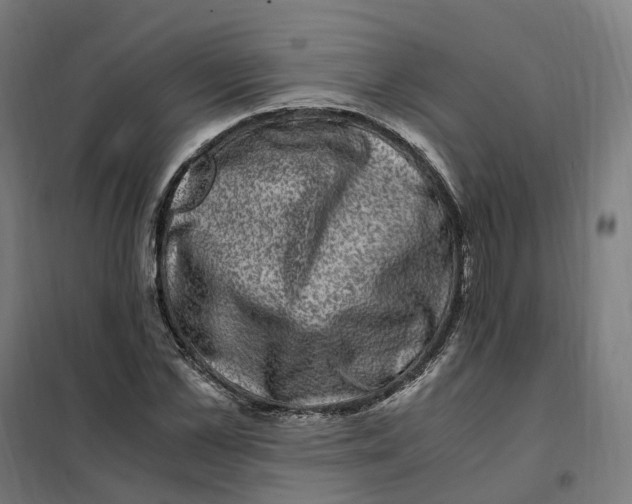 X0000101710973200808071219