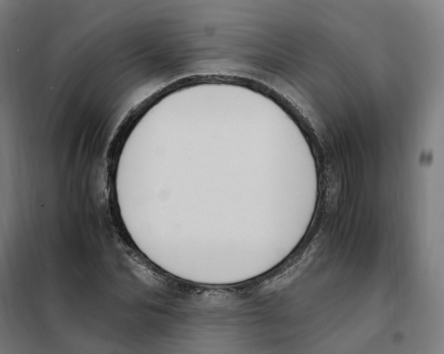 X0000101710974200808071219