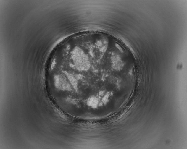 X0000101710975200808071219
