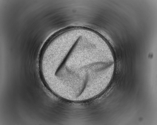 X0000101710976200808071219