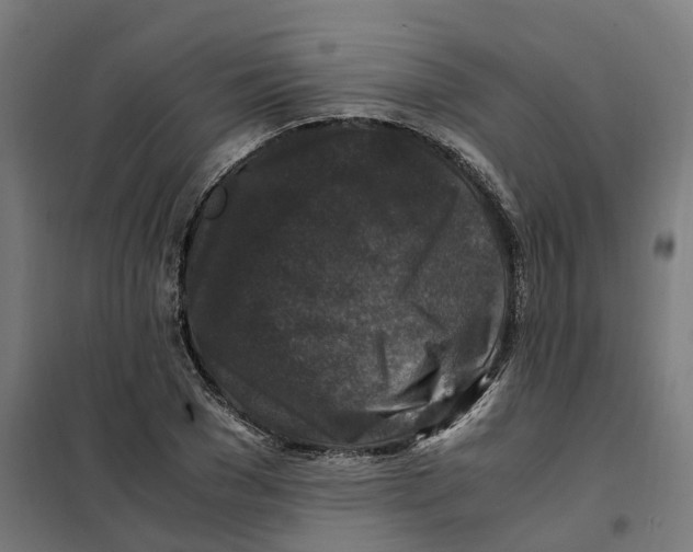 X0000101710977200808071219