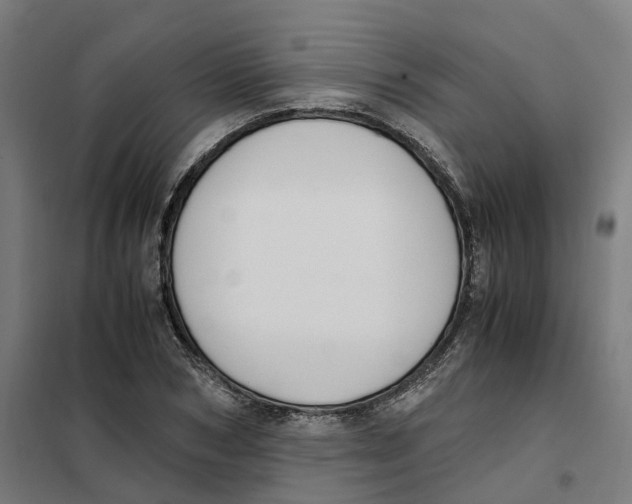 X0000101710978200808071219