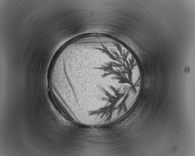 X0000101710980200808071219